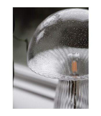 Globen Lighting Fungo 30 klar bordlampe