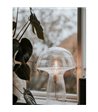 Globen Lighting Fungo 30 klar bordlampe