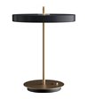 UMAGE Asteria Ø31 antracitgrå bordlampe