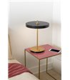 UMAGE Asteria Ø31 antracitgrå bordlampe