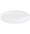 Belid Slim Ø28 mathvid plafond