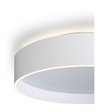 Halo Design Universal 3 Lite Ø42 white plafond