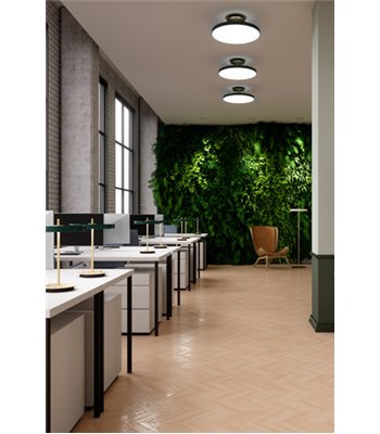 UMAGE Asteria Up Ø60 black loftslampe