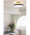 UMAGE Asteria Up Ø43 antracit loftslampe