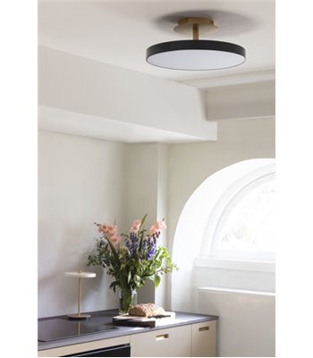 UMAGE Asteria Up Ø43 antracit loftslampe