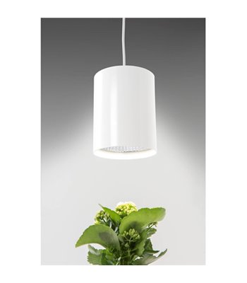 Airam Fiora hvid vækstlampe