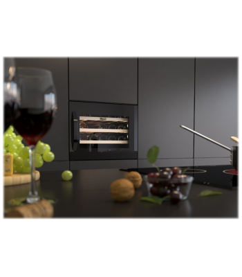 Thermex 910.21.1001.2 Winemex - Integrerbare vinkøleskabe