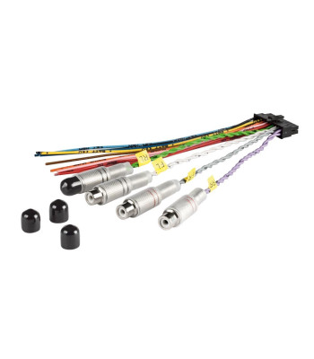 AUDISON RCA BIT TEN ADAPTER