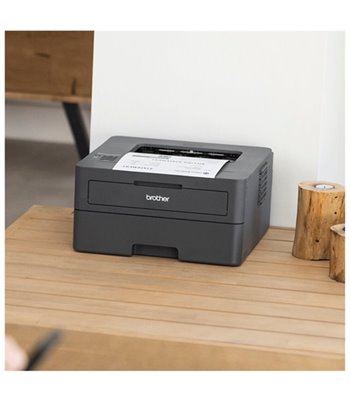 Brother HL-L2400DW laserprinter