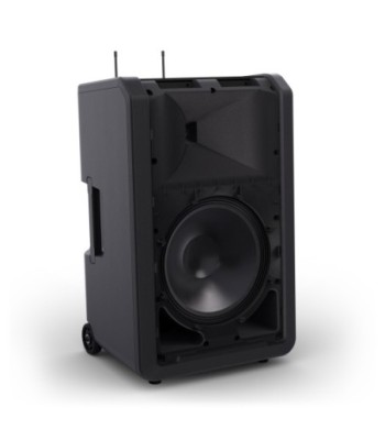 LD Systems 12" Portable battery-powered Bluetooth® PA System with mixer and 2 × wireless handheld microphone