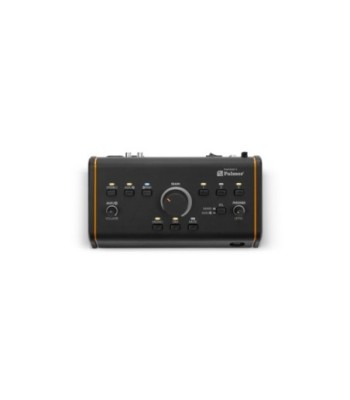 Palmer Active / Passive Studio Monitor Controller