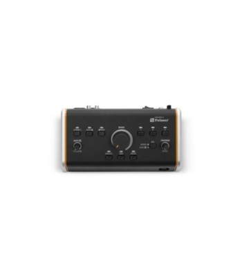 Palmer Active / Passive Studio Monitor Controller