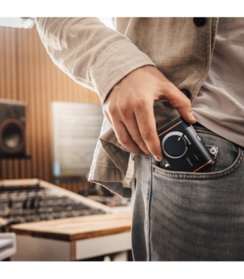 Palmer Passive Volume Controller