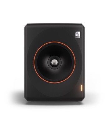 Palmer Active coaxial 3-way studio monitor