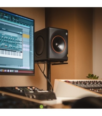 Palmer Active coaxial 3-way studio monitor