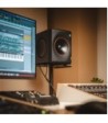 Palmer Active coaxial 3-way studio monitor