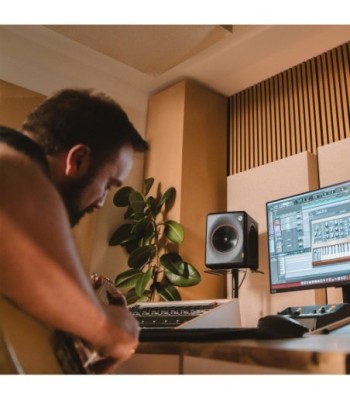 Palmer Active coaxial 3-way studio monitor