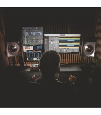 Palmer Active coaxial 3-way studio monitor