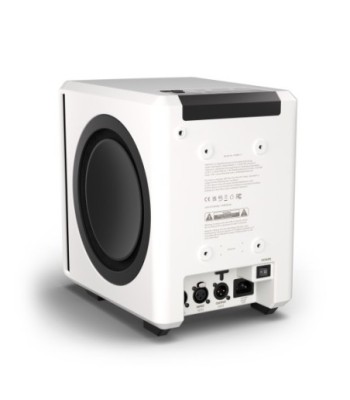 Palmer Active coaxial 3-way studio monitor, white