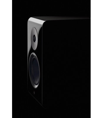 Yamaha NS-800A PAR