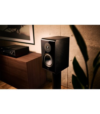 Yamaha NS-800A PAR
