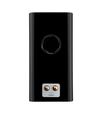 Yamaha NS-800A PAR
