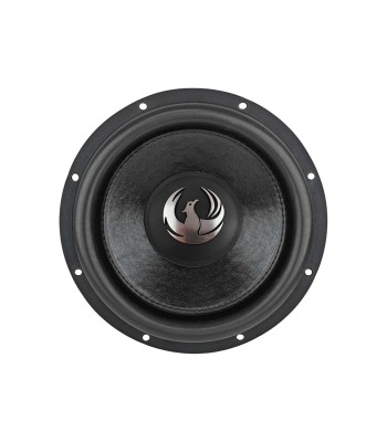 Phoenix Gold ZP - 12 tommer dobbelt 4 ohm street bas subwoofer 3" VC 1500 watt RMS