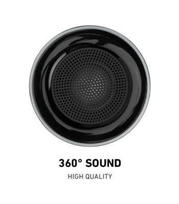 SBS Wild Portable højttaler. Sort