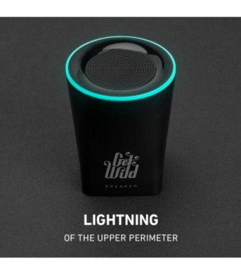 SBS Wild Portable højttaler. Sort