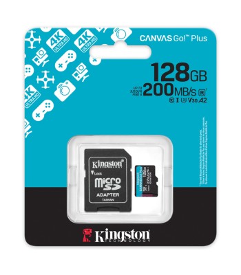 Kingston Canvas Go Plus Gen4