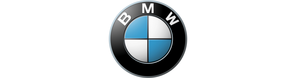 BMW radio