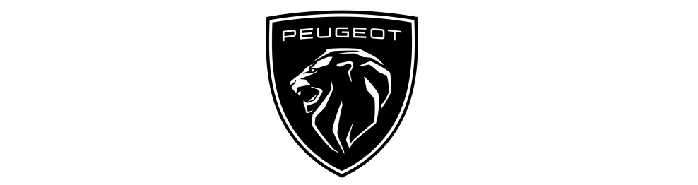 Peugeot radio